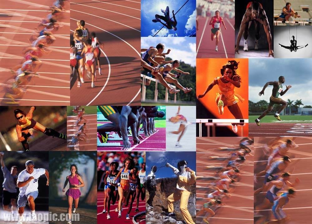 心理素质和 心理素质和