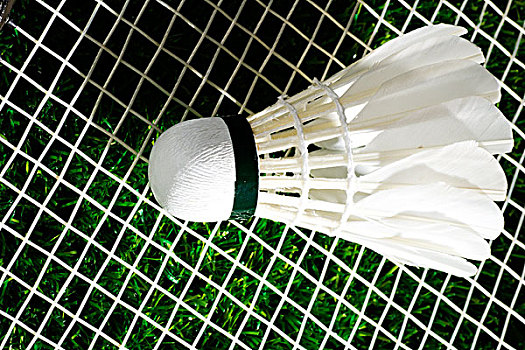 练理念和管 练理念和管