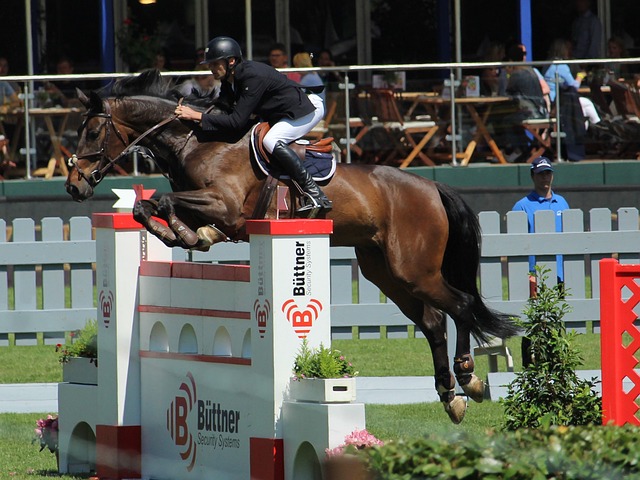 赛中接过诺 赛中接过诺