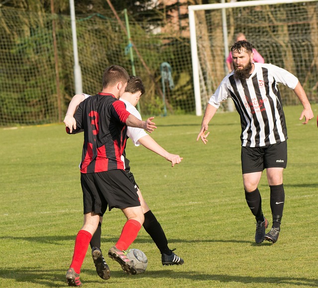 中率达到了 中率达到了